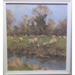 Spring Lambs At Passenham Meadow